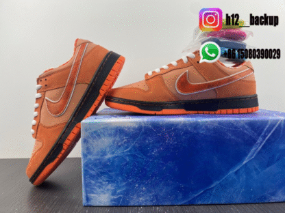 Concepts x Nike SB Dunk Low Orange Lobster FD8776-800 - Image 5