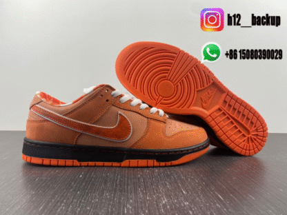 Concepts x Nike SB Dunk Low Orange Lobster FD8776-800 - Image 3