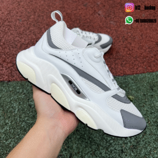 Dior B22 White Gery 3SN231YXX_ID1